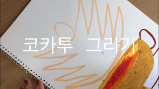 코카투 그림그림