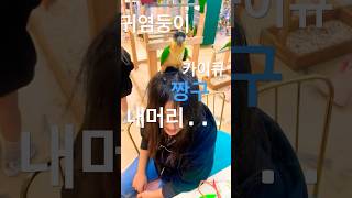 카이큐 매력  강아지 같아요 #shorts #추천 #리프패럿속초 #카이큐