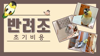 앵무새 키울때 초기비용 / 입양 전 꼭 필요한 준비물