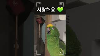 태어난 김에 새계고백#태계일주4