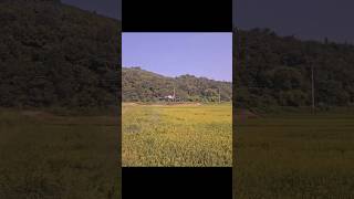 FPV 드론방제 3인칭 실제 속도 체감