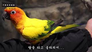 -랜선 동물원- 썬코뉴어