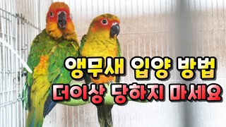 (#앵집사) 조류원에서 앵무새 선택방법