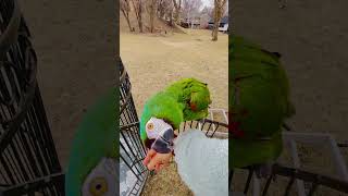 No ones wants to go home z,jus…