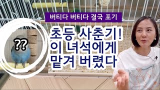 초등사춘기 극복기! 요 녀석이 들어오고 집안 공기가 달라졌다_반려동물 키우기