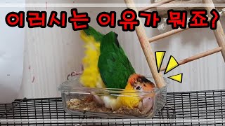 있었는데요 없었습니다.. 이러시는 이유가 있을 거 아니예요