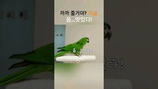 철수 까까 줄거야? 지금,         음...맛있다…