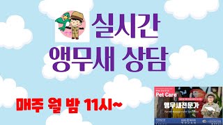 angssam앵쌤님의 실시간 스트림