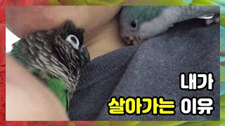 11년차 워킹맘 내가 살아가는 이유~ 다앵가족