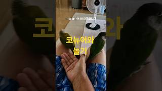 코뉴어 너무 재밌어요.