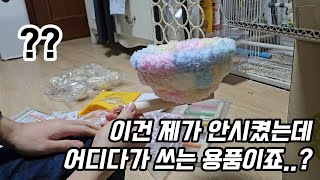 앵무새 용품 언박싱 - 앵이들 펠렛추천 & 용품 사용기까지 대공개! 이상한 용품우당탕탕 리뷰까지