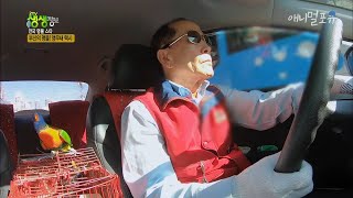 택시 안에 앵무새가?? 한번 타면 단골이 되는 앵무새 …