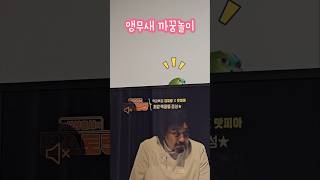 앵무새가 놀아주는 중 #앵무새 #까꿍 #귀여운 #시간순삭