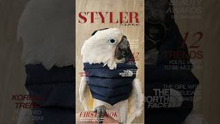 #앵무새 #엄브렐라코카투 #parrot #umbrellacockatoo