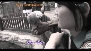 TV 동물농장 120701 [SBS]_02