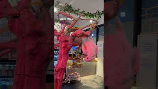 묘기 부리는 중