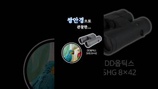 쌍안경으로 서울대공원 금강앵무를 크고, 가깝고, 화려하…