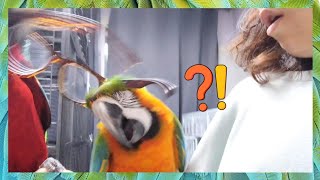 너 이래도 되는거야? 괜찮겠어?