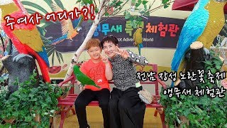주여사 어디가?! 전남 장성군 노란꽃축제 앵무새 체험관