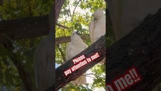 BIRD Nature is AMAZING!! #bird…