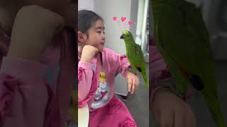 @ohsujin 수지니&아마존  앵무새 in버드스팟