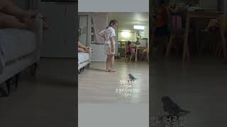 #퀘이커앵무새 #앵무새베베 #금쪽이 #퀘이커 #말안듣는…