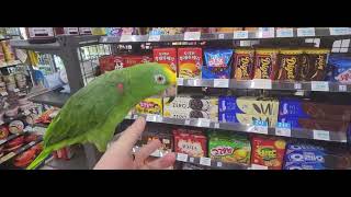 오늘은 무편집 영상으로 대신합니다 / 구독자님들 많은 양해 부탁드려요 / 아빠가 바쁘고 게을러서 영상편집을 못했어요!! 담주에 더 재미있는 영상으로 만나요^^