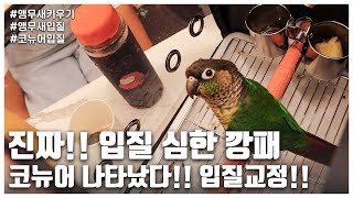 [리프승수가 간다!] 진짜!! 입질 심한 깡패 코뉴어 …