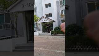 썬코뉴어  리드줄 착용 야외 호출 훈련입니다