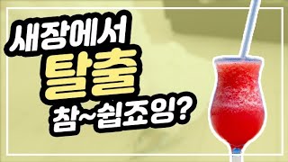 [앵트리오]  듀컵코카투 : 프로 탈출러 &quot;두…