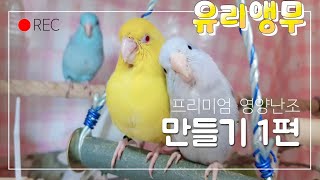 반려조 프리미엄 영양난조 만들기  1편 재료소개