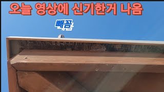 오늘 멋진거 찍음 꼭 보셈