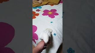 듀컵코카투입니다^^