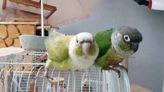 빗소리에 신난 여름이