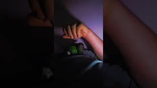 쟈딘 앵무새 코코예요