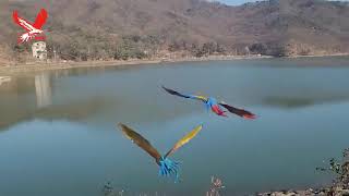 남양주시 오남호수공원에서의 비행