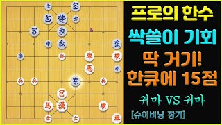 [프로의 한수] 싹쓸이 기회!!! 한 큐에 15점.. …