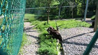 국립수목원 (Korea National Arboretu…