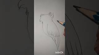 Easy kakatua drawing #drawing #kakatua #birds #bird #viralvideo #viralshort #trending #foryou