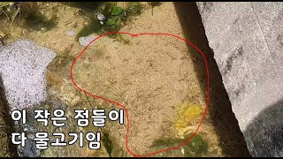 집 앞 하천을 무시하면 안되는 이유