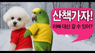 앵무새가 강아지를 산책 시킨다??? / 겨울이되니 기분…