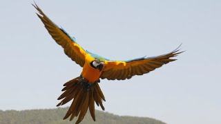 [청금강] 반려동물과 자연속에서 같이 힐링하기 딱 좋은 나만 알고싶은 카페