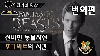 신비한 동물사전, 호그와트의 사건 - 번외편