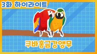 다이노맨 3화 쿠바홍금강앵무 하이라…