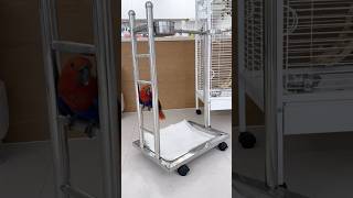 뉴기니아 여아 가을이가 입양자님 가정에 적응하고 있어요