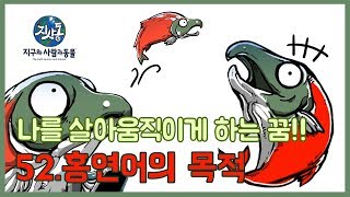 목표를 향해 앞으로!! 홍연어의 목적 _ EP52(지사동 시즌1)