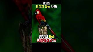 믿기지 않는 사진  앵무새가 아니라 사람?