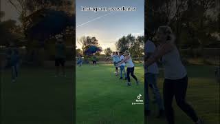 밀리골드 마카우 홍금강 청금강 자유비행 #miligol…