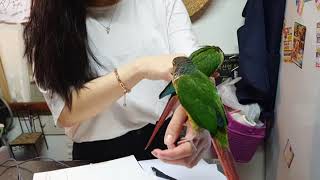 코뉴어 카운터 급습