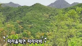 까마귀 따라올테면따라와봐 /카페마카우 머루/마카우비행/청금강